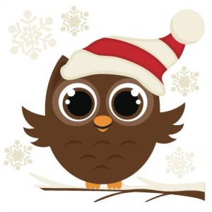 owl winter 2