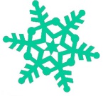 Jan CA Snowflake1